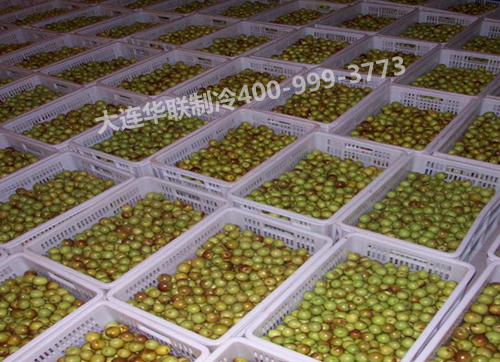 黄骅市天天食品发展有限公司