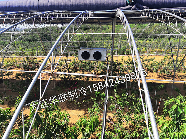 蔬菜保鲜冷库
